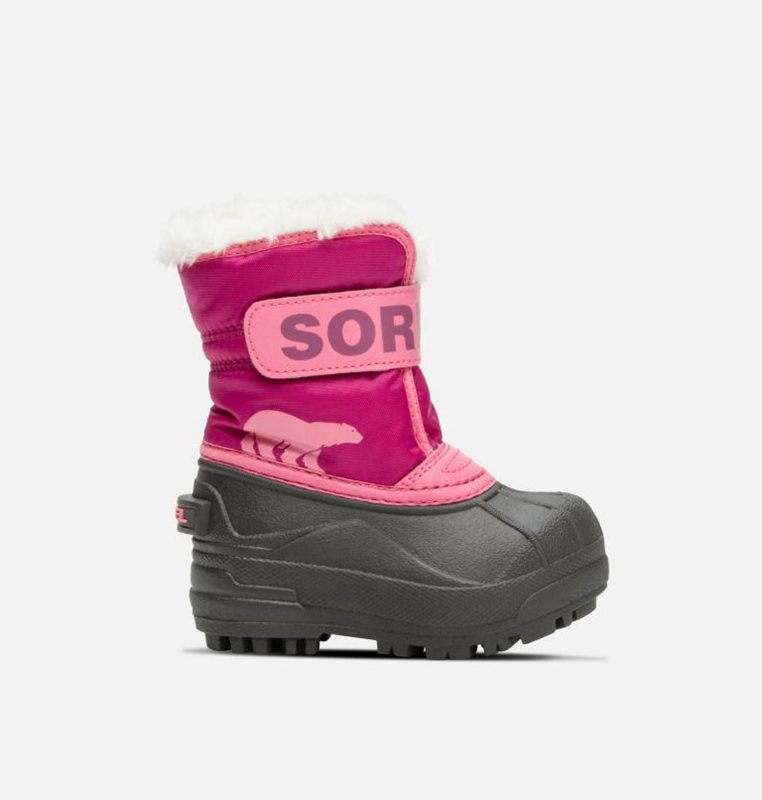 Sorel Toddler Commander™ - Kids Snow Boots Pink/Black - 532461UBE